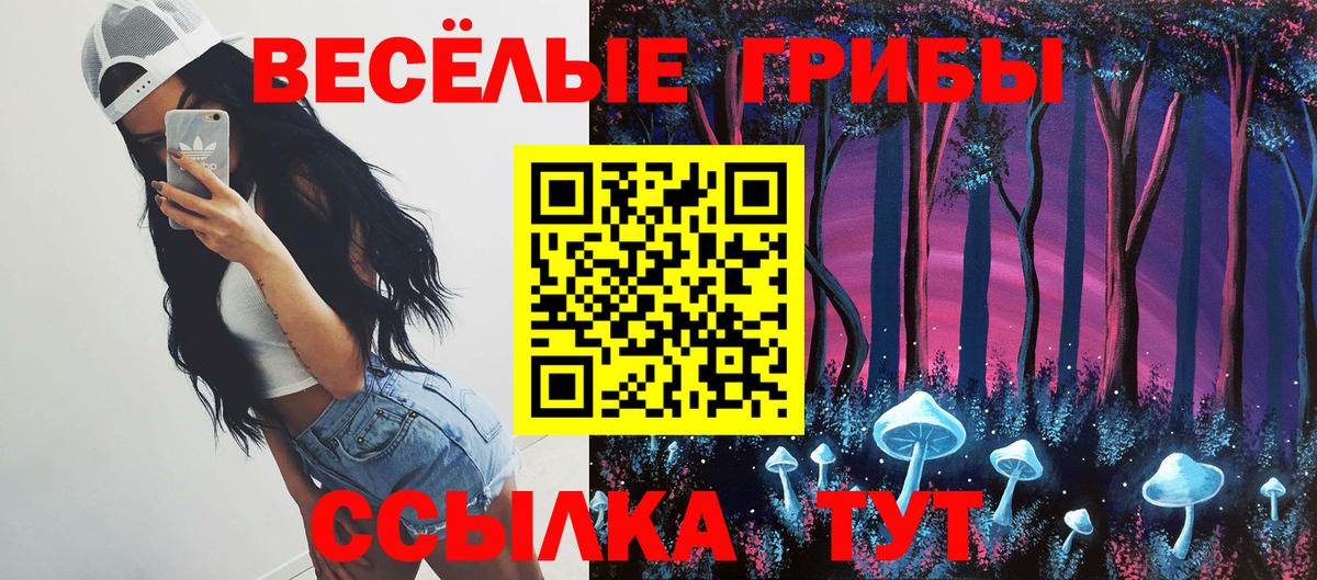 Галлюциногенные грибы Cubensis Карачаевск
